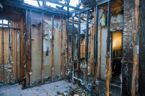 Professional Fire Damage Removal technician working in Asbury, IA